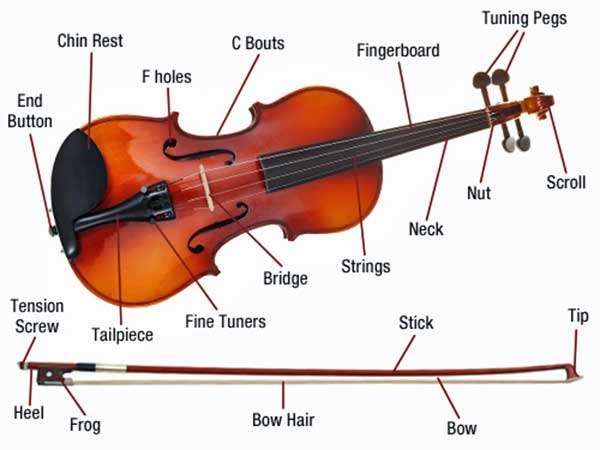 音楽の森 弦楽器：ヴァイオリン